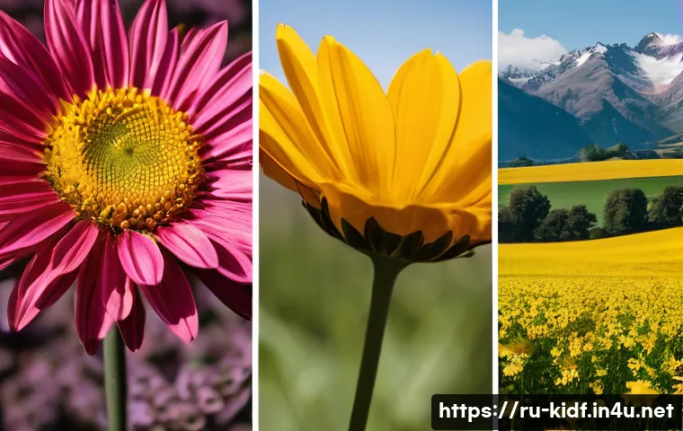 아동용 크리스마스 파티 드레스 - Here are three detailed image prompts in English for an image generator, following your guidelines: